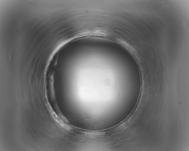 X0000078021200200611101838