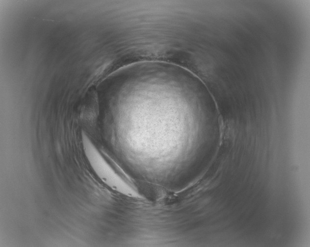 X0000078021202200611101838