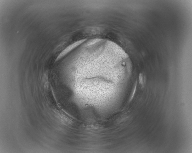 X0000078021203200611101838