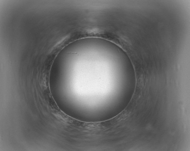 X0000078021205200611101838