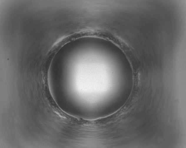 X0000078021206200611101838