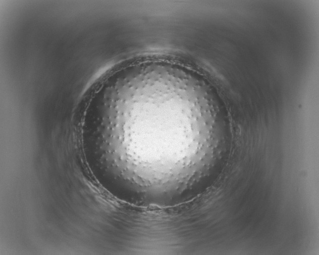 X0000078021208200611101838