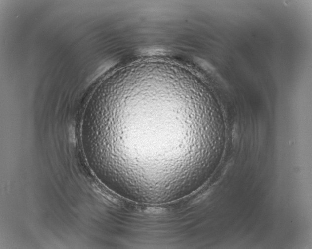 X0000078021209200611101838