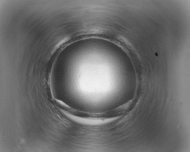 X0000078021210200611101838