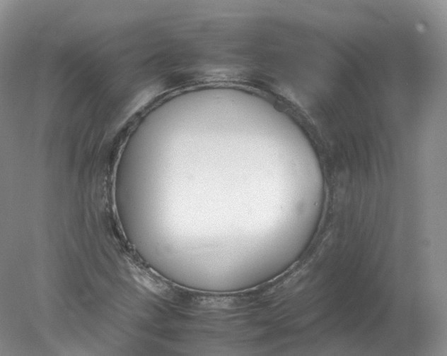 X0000078021211200611101838