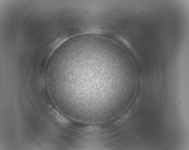 X0000078021212200611101838