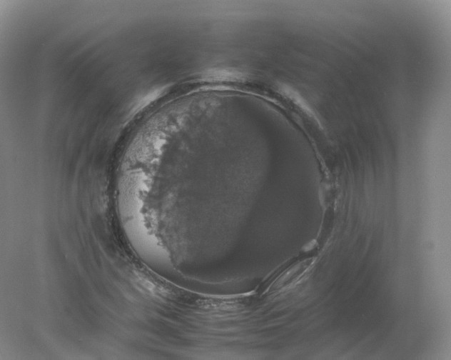 X0000078021213200611101838