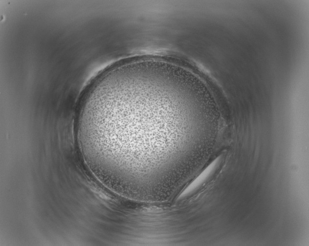 X0000078021214200611101838