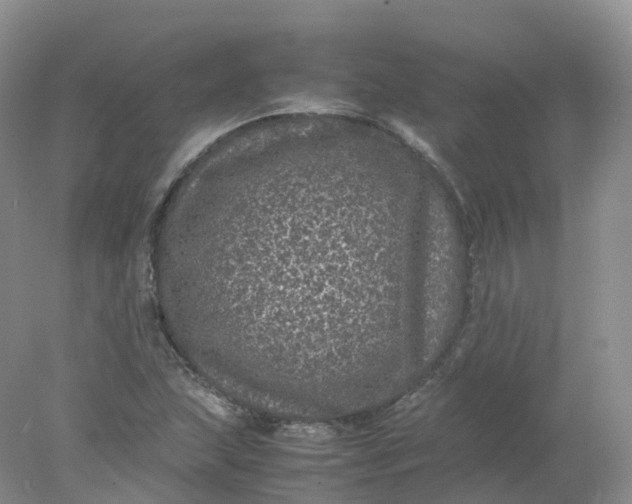 X0000078021215200611101838