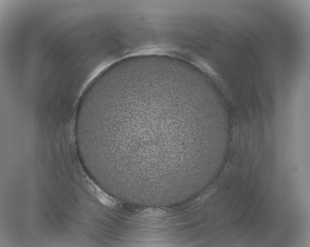 X0000078021216200611101838