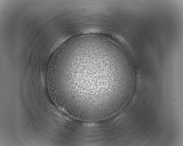 X0000078021217200611101838