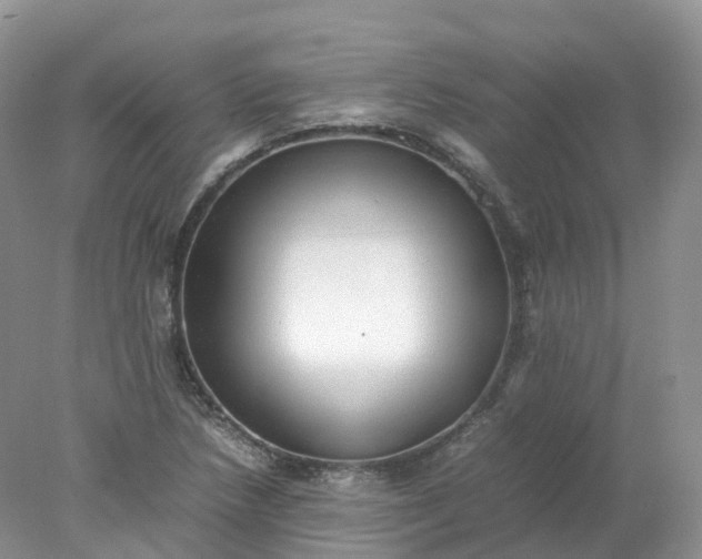 X0000078021218200611101838