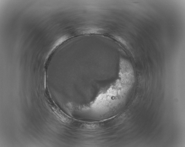 X0000078021219200611101838