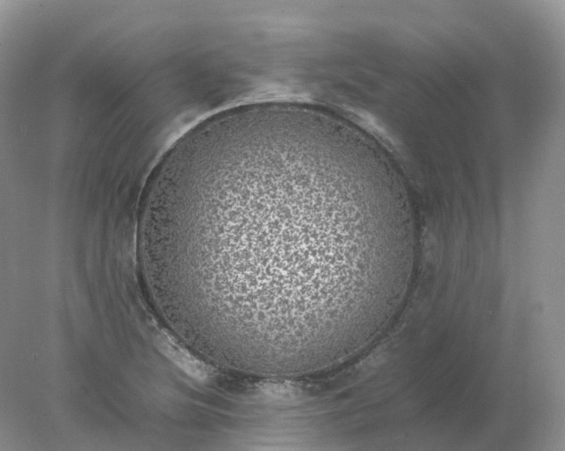 X0000078021220200611101838