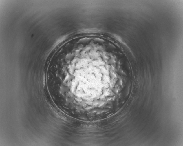 X0000078021221200611101838