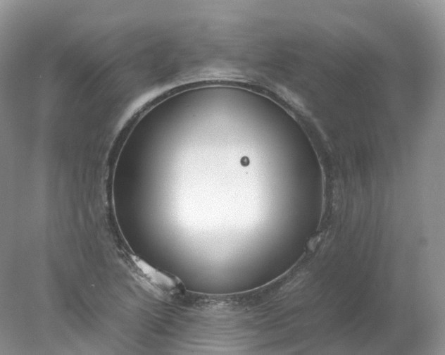 X0000078021222200611101838