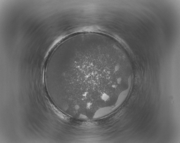 X0000078021224200611101838