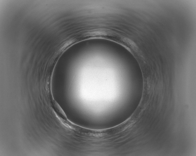 X0000078021225200611101838