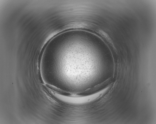 X0000078021226200611101838