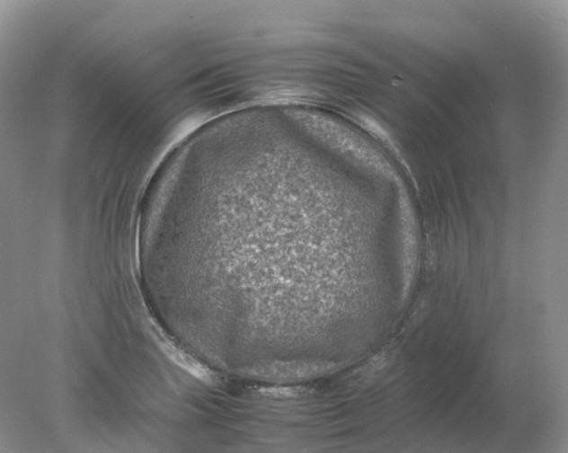 X0000078021227200611101838