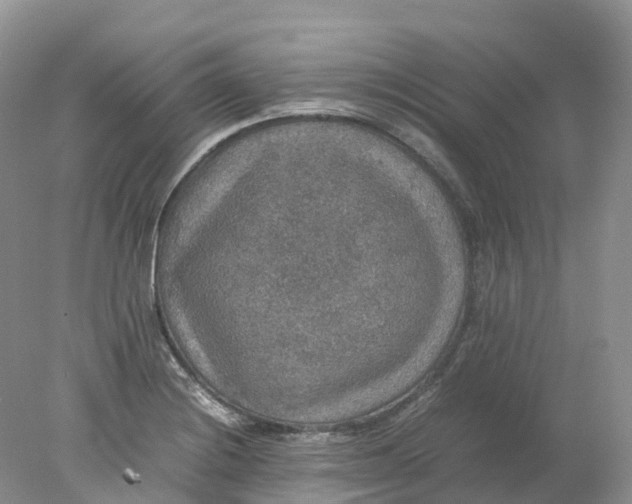 X0000078021228200611101838