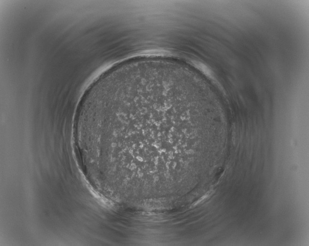 X0000078021229200611101838