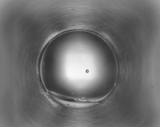 X0000078021230200611101838