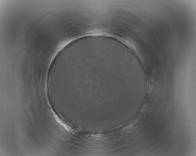 X0000078021231200611101838