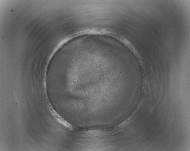 X0000078021232200611101838