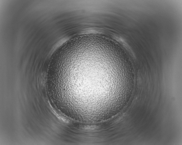 X0000078021233200611101838