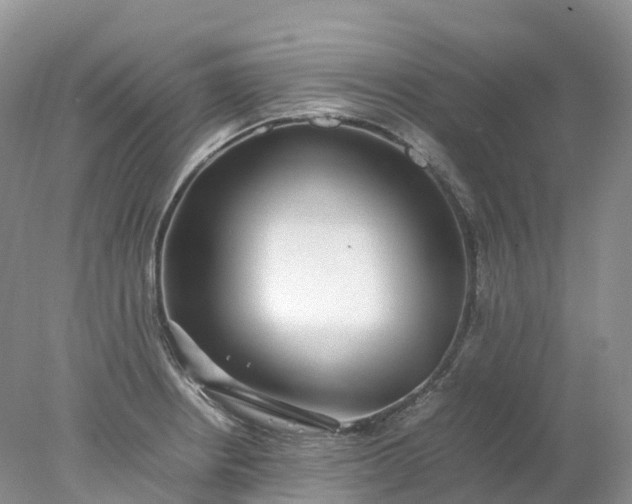 X0000078021234200611101838