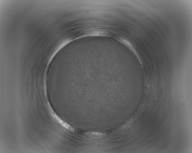 X0000078021235200611101838