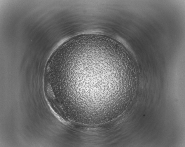 X0000078021237200611101838