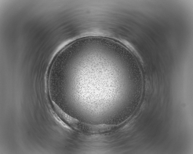 X0000078021238200611101838