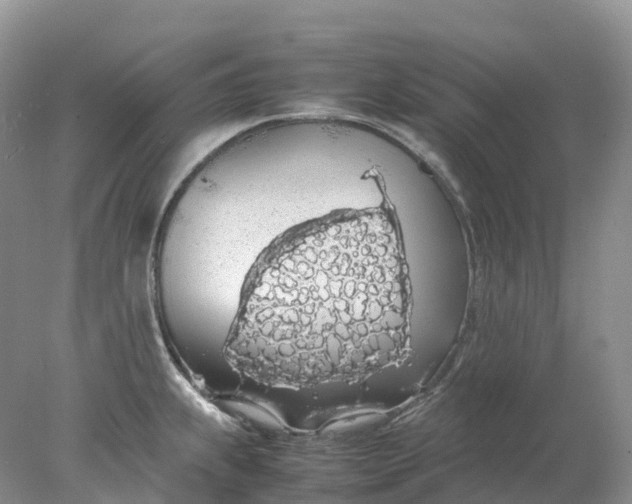 X0000078021239200611101838