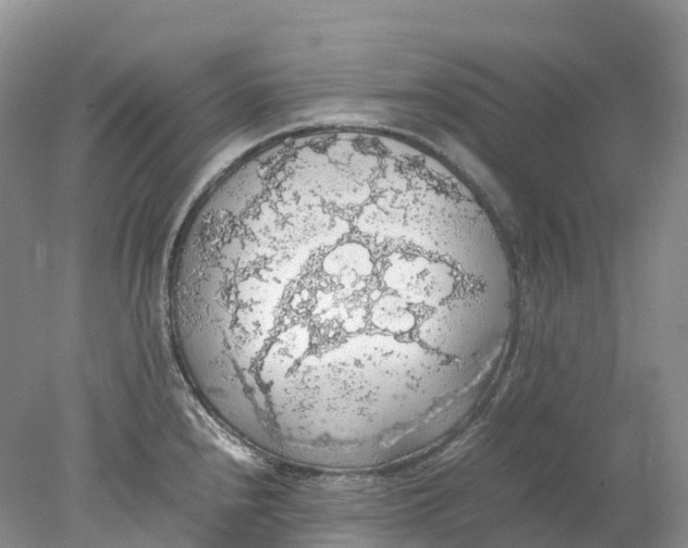 X0000078021240200611101838