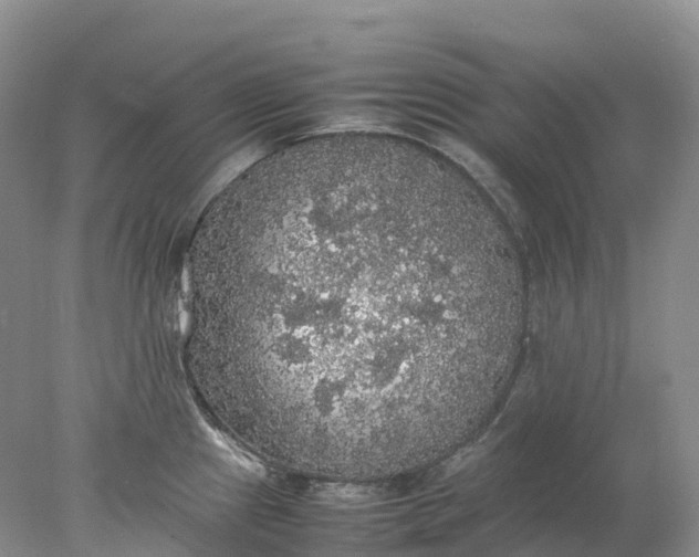 X0000078021241200611101838