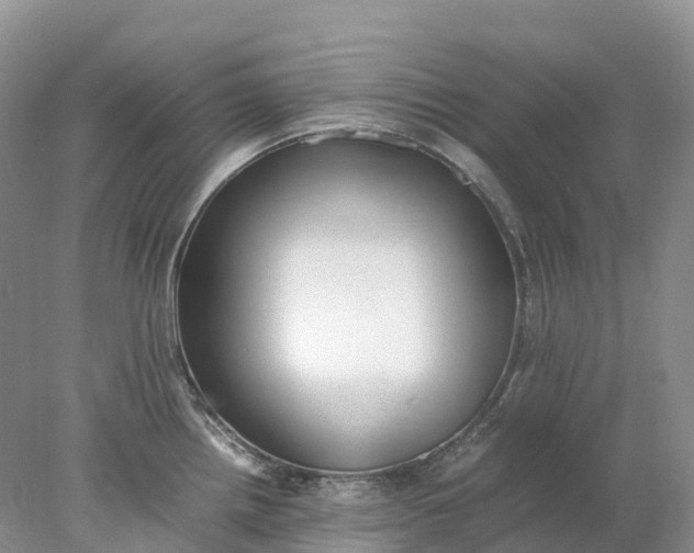 X0000078021242200611101838