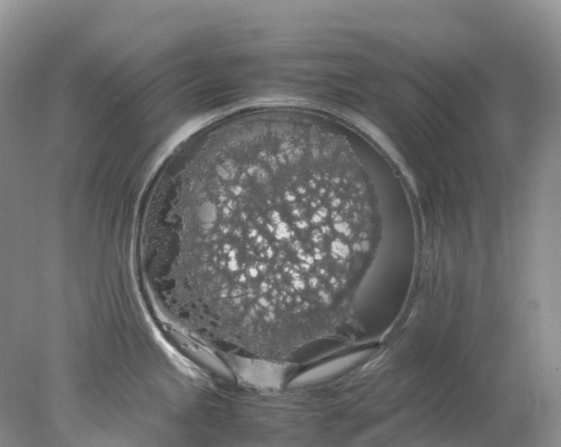 X0000078021245200611101838