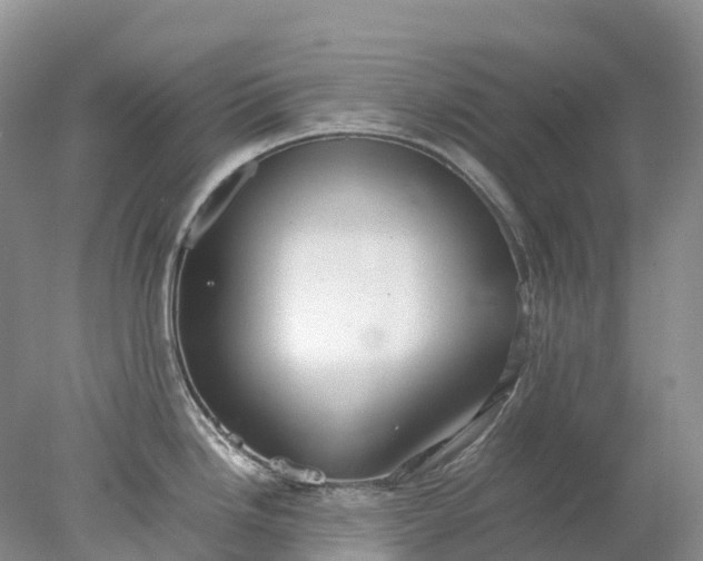 X0000078021246200611101838