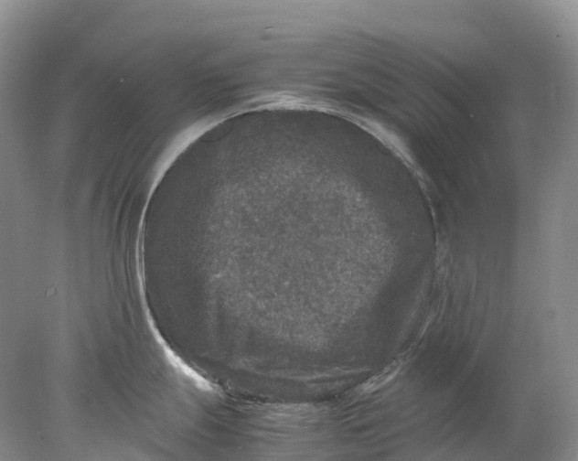 X0000078021247200611101838