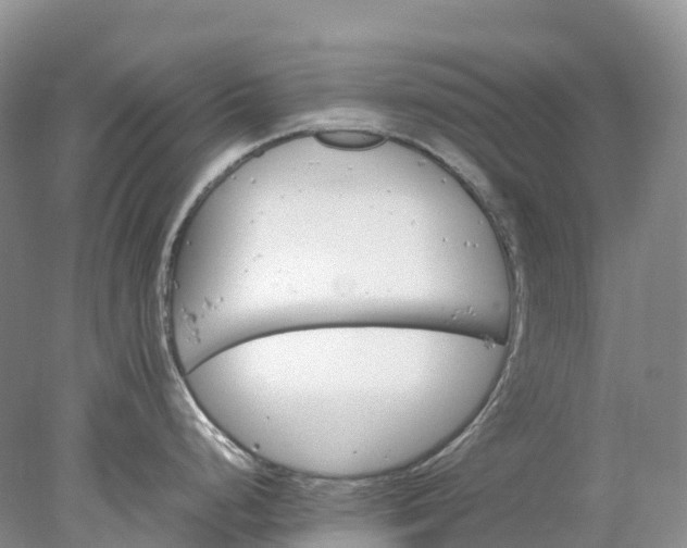 X0000078021248200611101838