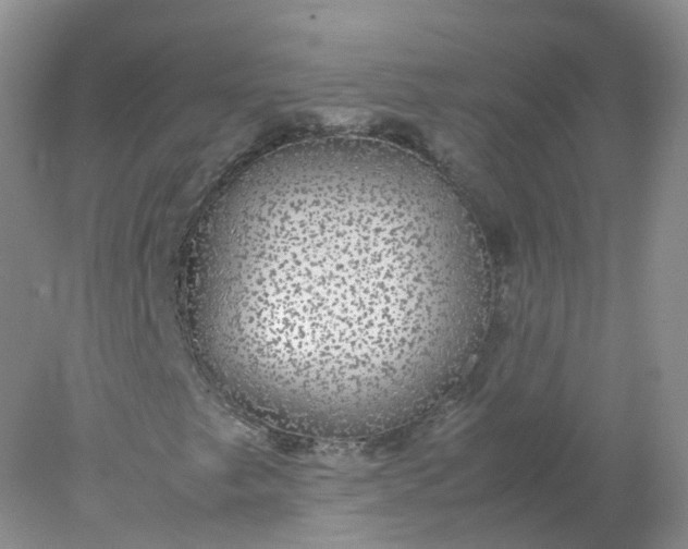 X0000078021249200611101838