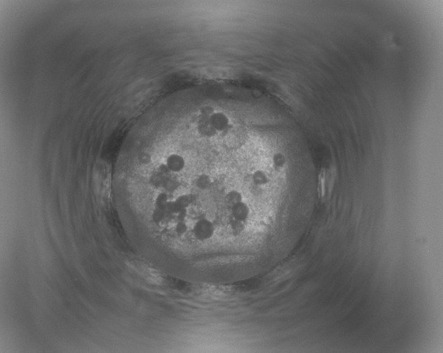 X0000078021251200611101838