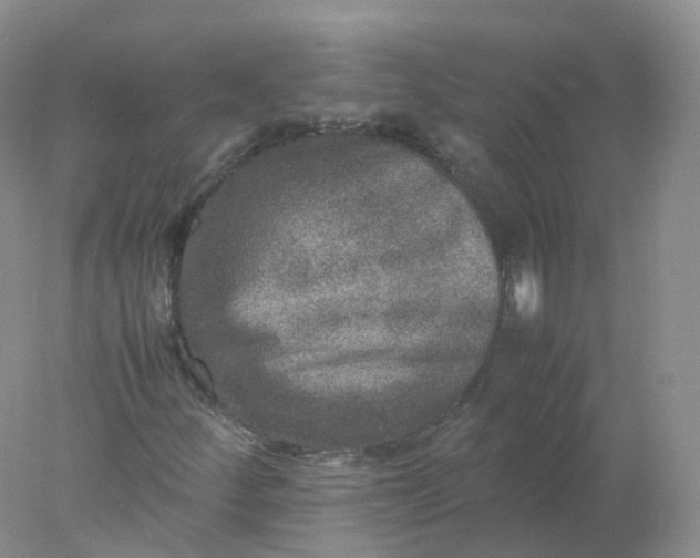 X0000078021252200611101838