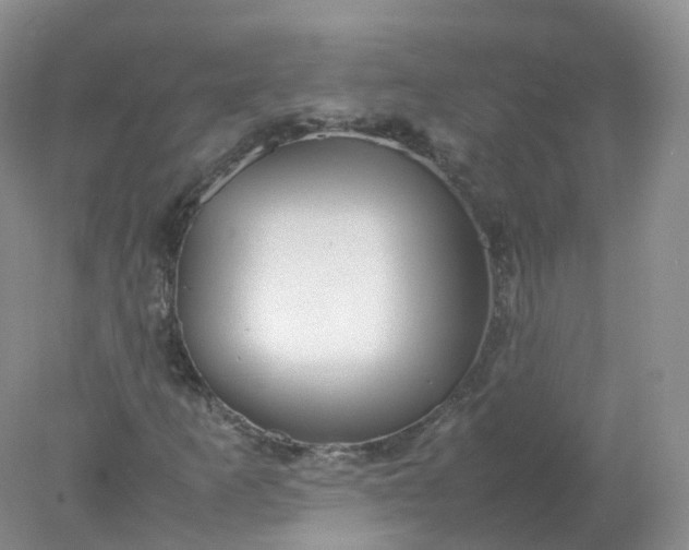 X0000078021253200611101838