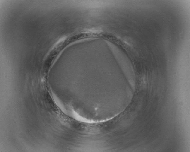 X0000078021254200611101838