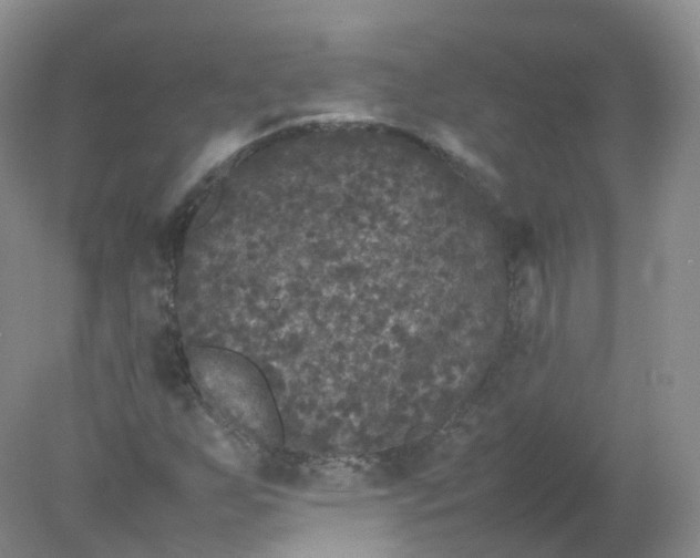 X0000078021255200611101838