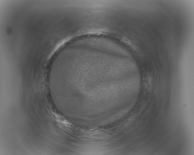 X0000078021256200611101838