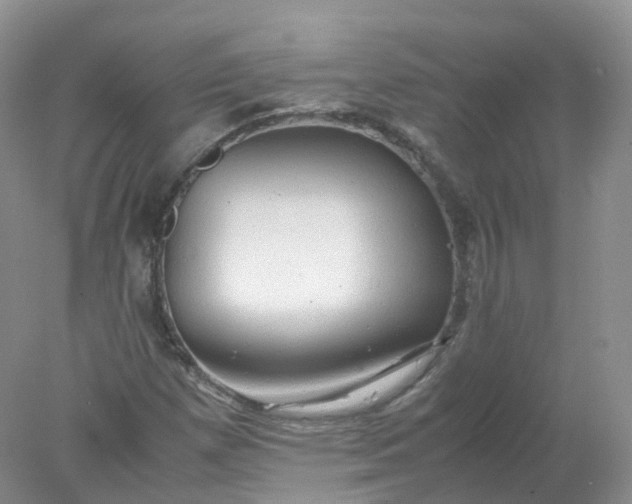 X0000078021257200611101838